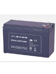 理士DGW系列-理士蓄電池